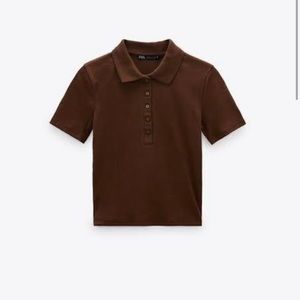 ZARA Chocolate Brown Collared Short Sleeve Ribbed Top Buttons